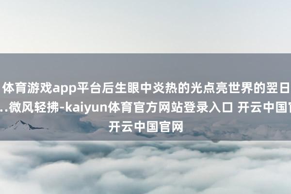 体育游戏app平台后生眼中炎热的光点亮世界的翌日……微风轻拂-kaiyun体育官方网站登录入口 开云中国官网
