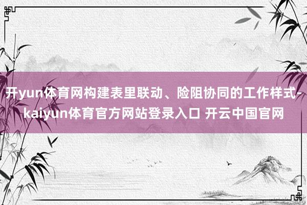开yun体育网构建表里联动、险阻协同的工作样式-kaiyun体育官方网站登录入口 开云中国官网